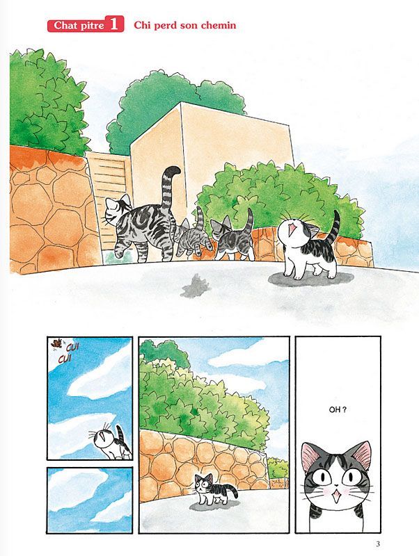 Chi Une Vie De Chat T01 Grand Format Chi Une Vie De Chat T01 Grand Format